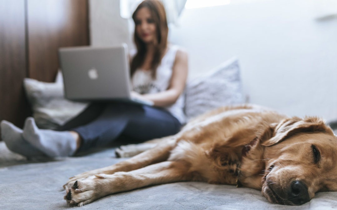 Mit Kontinuität die nächste Runde im Homeoffice meistern