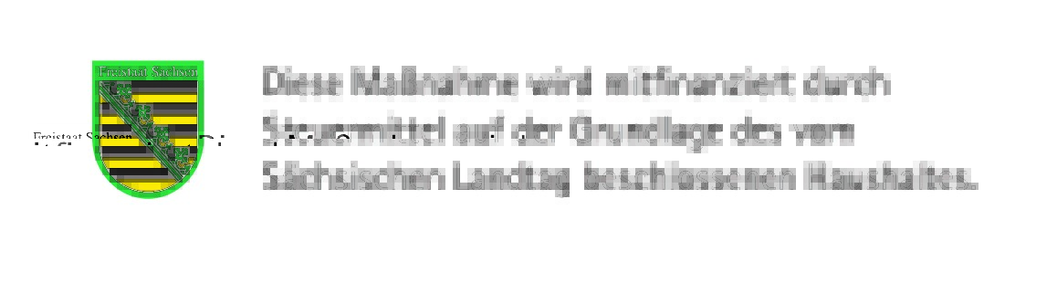 Finanzierung sächsischer Landtag